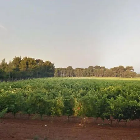 Apartamento Bel Appt 2p Pour 4 A Bormes-les-mimosas, En Face De La - Fr-1-251-229 *